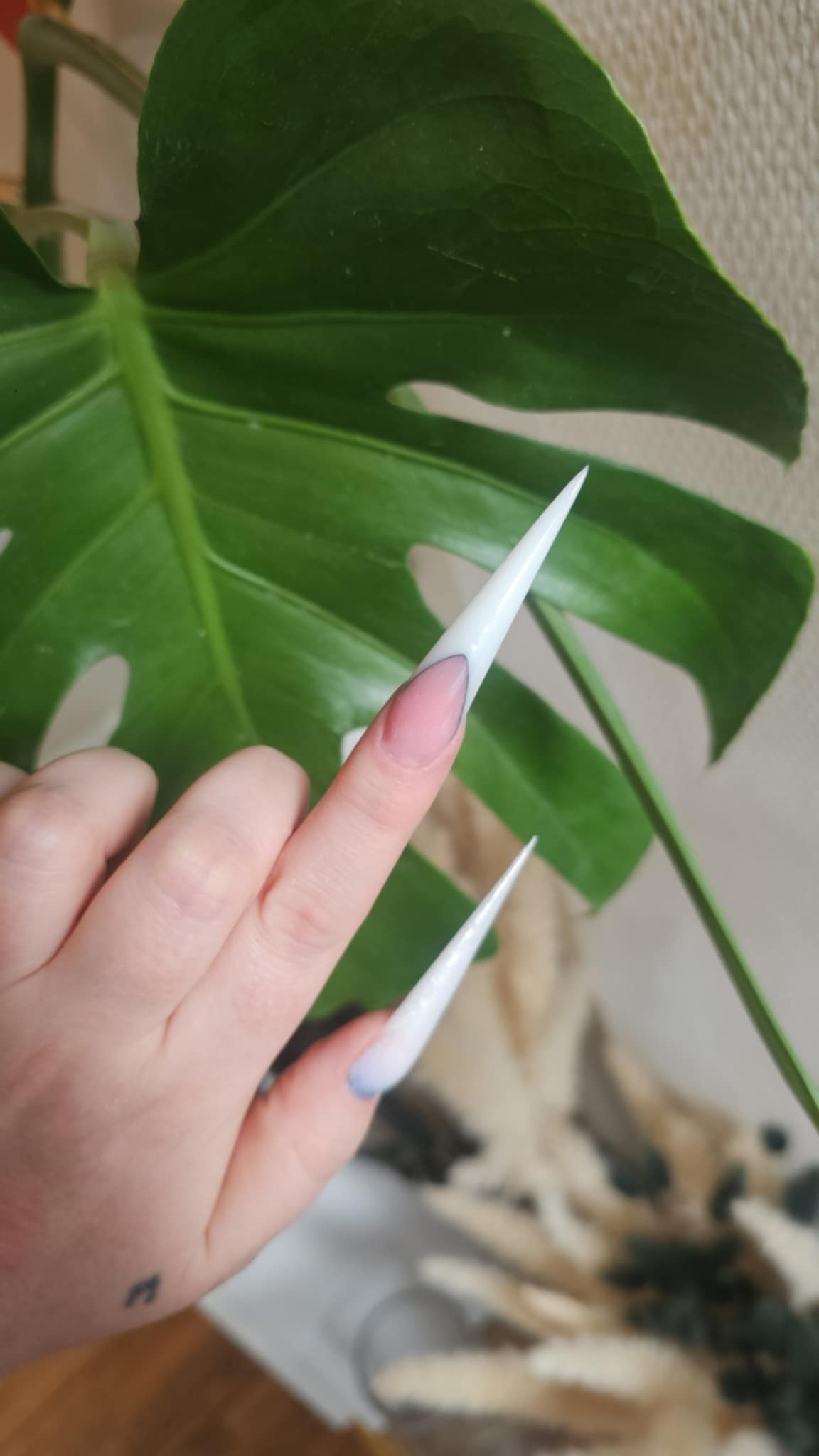 Stiletto negldesign